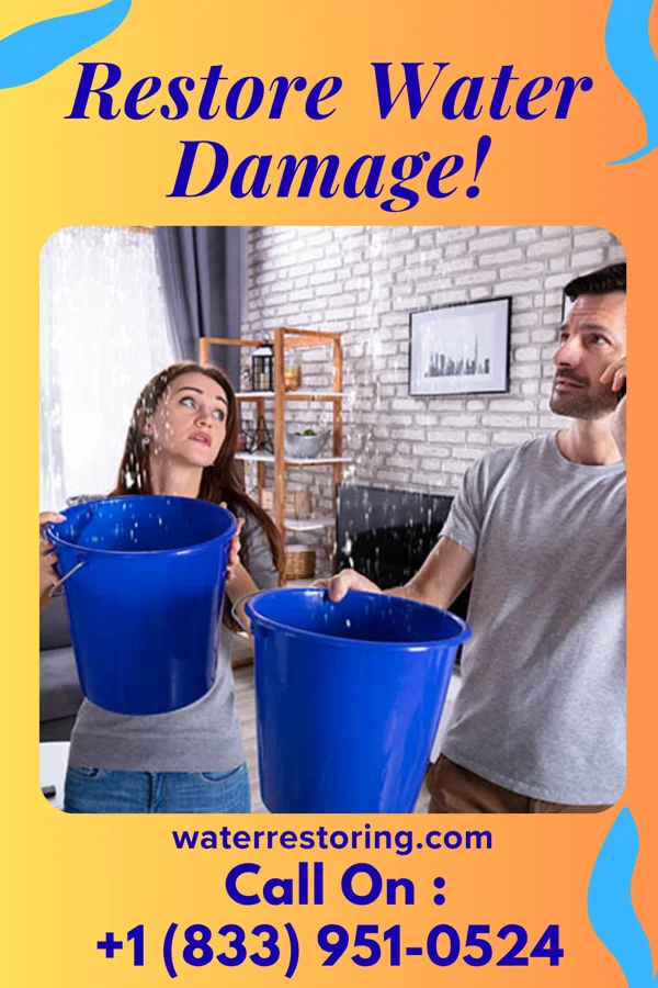 water restoration Pinnacle Restoration Masters Northfield