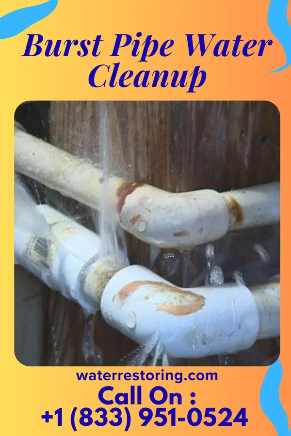 Burst Pipe Water Cleanup in Northfield, NJ