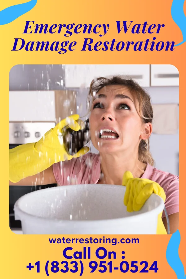 Emergency Water Damage Restoration in Northfield, NJ