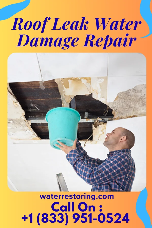 Roof Leak Water Damage Repair in Northfield, NJ