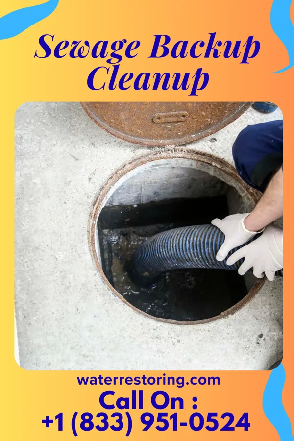 Sewage Backup Cleanup in Northfield, NJ