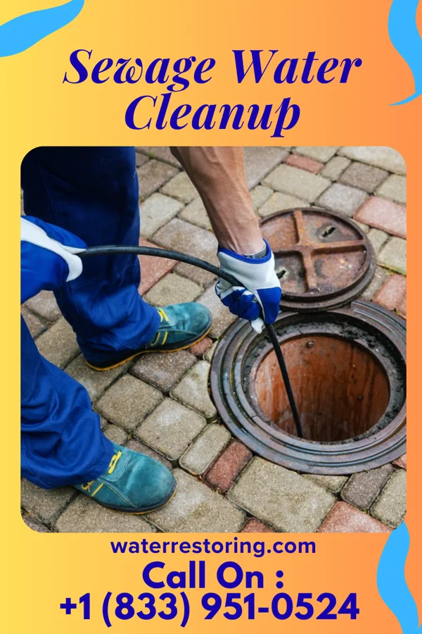 Sewage Water Cleanup in Northfield, NJ