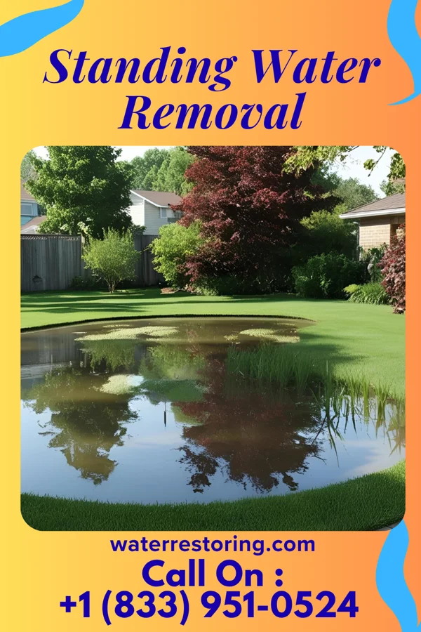 Standing Water Removal in Northfield, NJ